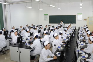 2019年云南新興職業學院醫藥教學器材類專業招生簡介