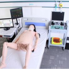 2019年醫藥教學器材價格與批發指南 教育培訓裝備篇